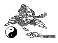 "Flying Bodhi Master" is a Registered Trademark of Digital Skeleton Enterprises